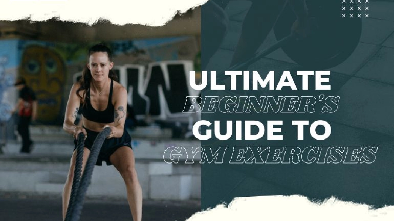 ultimate beginners guide to gym exercises