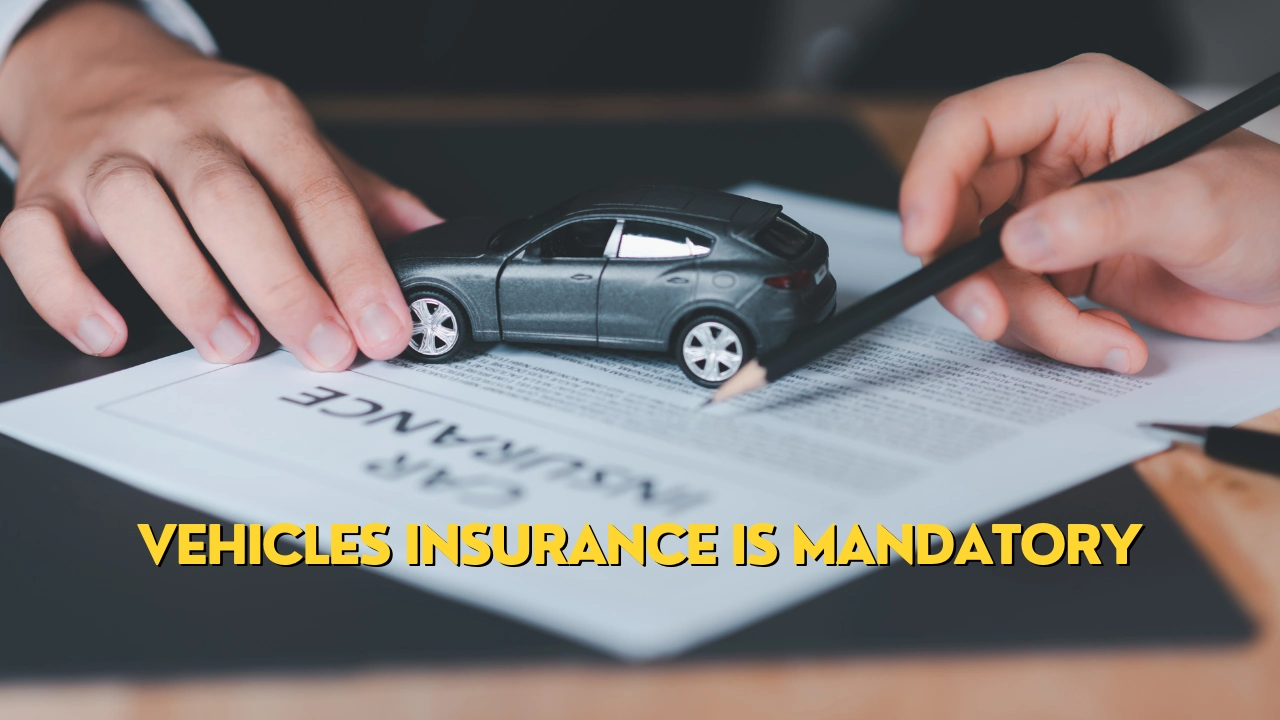 vehicle insurance