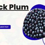 Pros and Cons of Jamun Fruit: Benefits, Nutrition, and Side Effects
