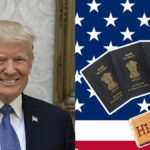 Trump attack on Indian professionals