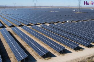 Adani Energy Q2 Results Impress – Revenue Growth of 7%, EBITDA Surges 12% Year-over-Year Adani Energy Q2 results