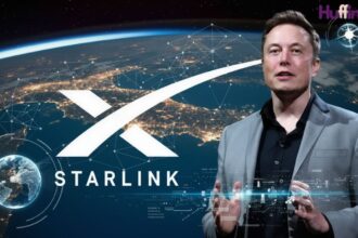 Starlink India Launch Searches