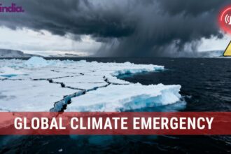 Arctic ice melt 2025