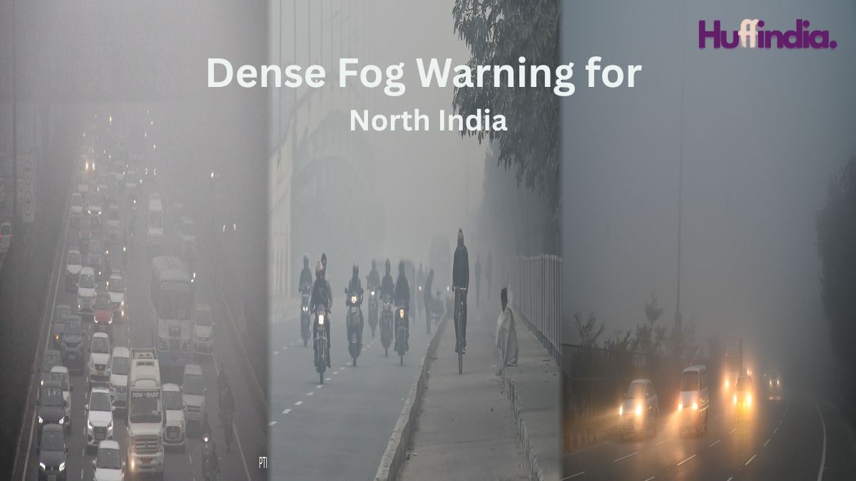 Severe Weather Warning: IMD Predicts Heavy Fog, Sharp Cold Wave and Rainfall Across India—Travel to Be Hit IMD Weather Alert 2025
