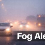 Dense fog north India January 29