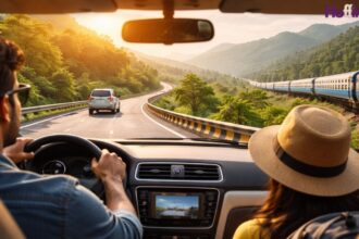 domestic travel in India