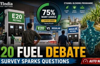 E20 petrol survey