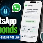 WhatsApp Username Feature